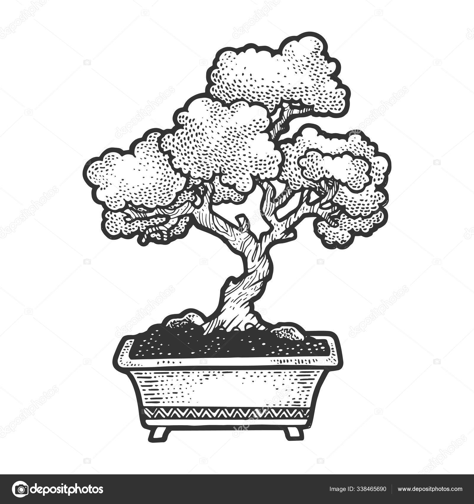 Bonsai japanese tree sketch vector illustration. Scratch board style