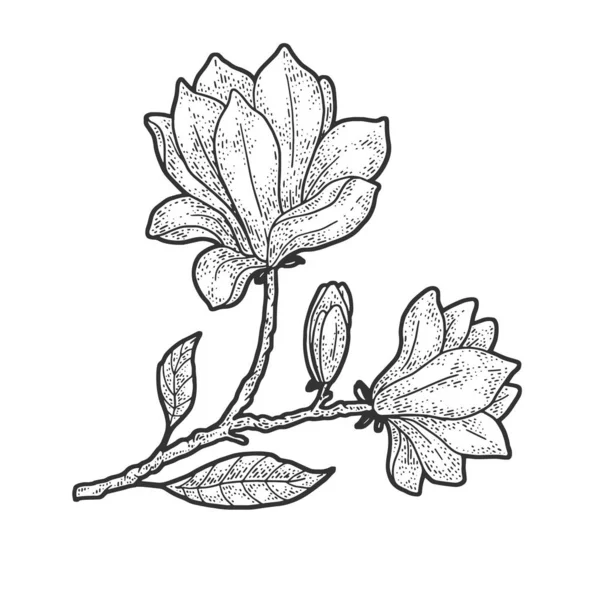 Magnolia träd blomma skiss gravyr vektor illustration. T-shirt kläder tryck design. Skrapbrädesimitation. Svart och vit handritad bild. — Stock vektor