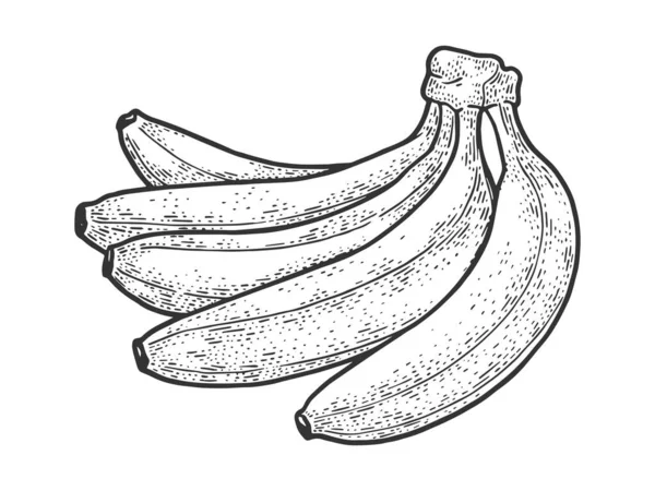 Bananas fruto esboço gravura vetor ilustração. T-shirt design de impressão de vestuário. Imitação de raspadinha. Imagem desenhada à mão preto e branco . — Vetor de Stock