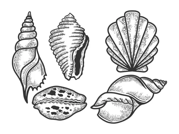 Mar shell set esboço gravura vetor ilustração. Imitação de estilo Scratch board. Imagem desenhada à mão preto e branco . —  Vetores de Stock