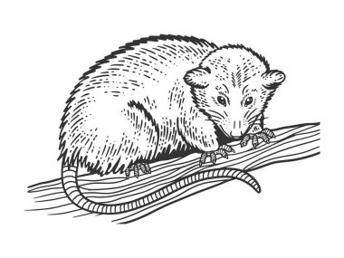 Opossum hayvan çizimi, oyma vektör çizimi. Tişört giysisi baskısı tasarımı. Çizik tahtası taklidi. Siyah beyaz el çizimi resim.