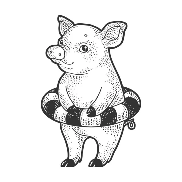 Piggy com anel de borracha para natação desenho gravura vetor ilustração. T-shirt design de impressão de vestuário. Imitação de raspadinha. Imagem desenhada à mão preto e branco . —  Vetores de Stock