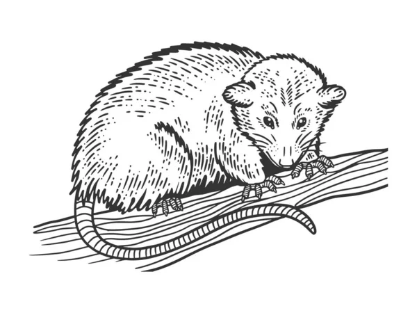 주머니쥐 (opossum) 동물 스케치 벡터 삽화. 티셔츠 의류 인쇄 디자인. 작은 게시판 모방. 손으로 그린 흑백 그림. — 스톡 벡터