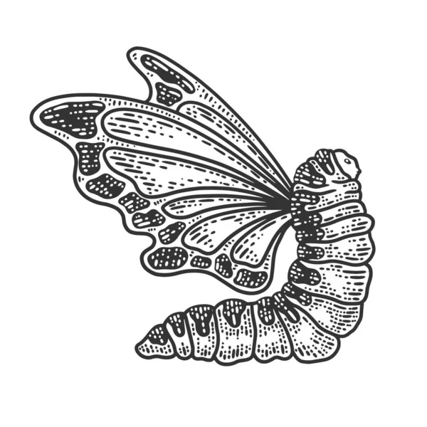 Caterpillar with butterfly wings sketch engraving vector illustration. T-shirt apparel print design. Scratch board imitation. Black and white hand drawn image. — Stock Vector