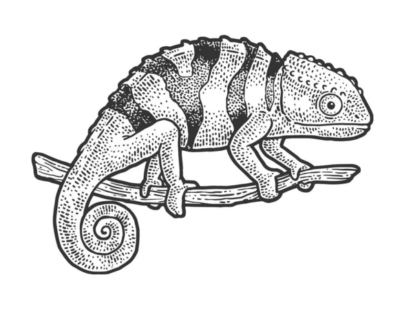 Lézard caméléon croquis gravure vectorielle illustration. T-shirt imprimé design. Imitation de carte à gratter. Image dessinée à la main noir et blanc . — Image vectorielle