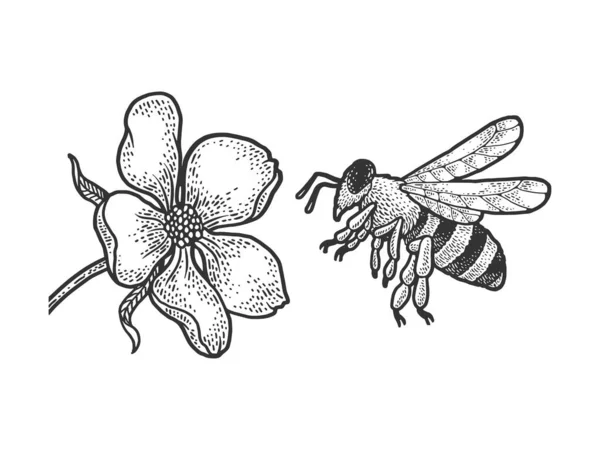 Bee flies to a flower sketch engraving vector illustration. T-shirt apparel print design. Scratch board imitation. Black and white hand drawn image. Vector Graphics