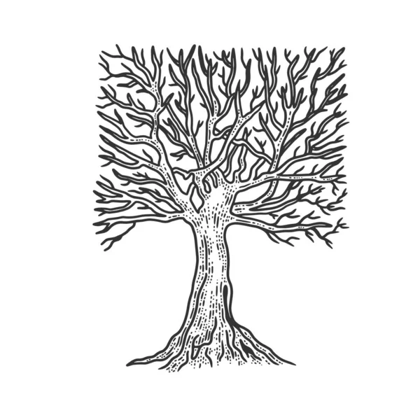 Árvore de coroa quadrada esboço gravura vetor ilustração. T-shirt design de impressão de vestuário. Imitação de raspadinha. Imagem desenhada à mão preto e branco . — Vetor de Stock