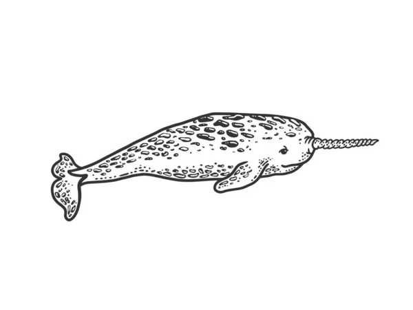 Narval animal marinho esboço gravura vetor ilustração. T-shirt design de impressão de vestuário. Imitação de raspadinha. Imagem desenhada à mão preto e branco . —  Vetores de Stock