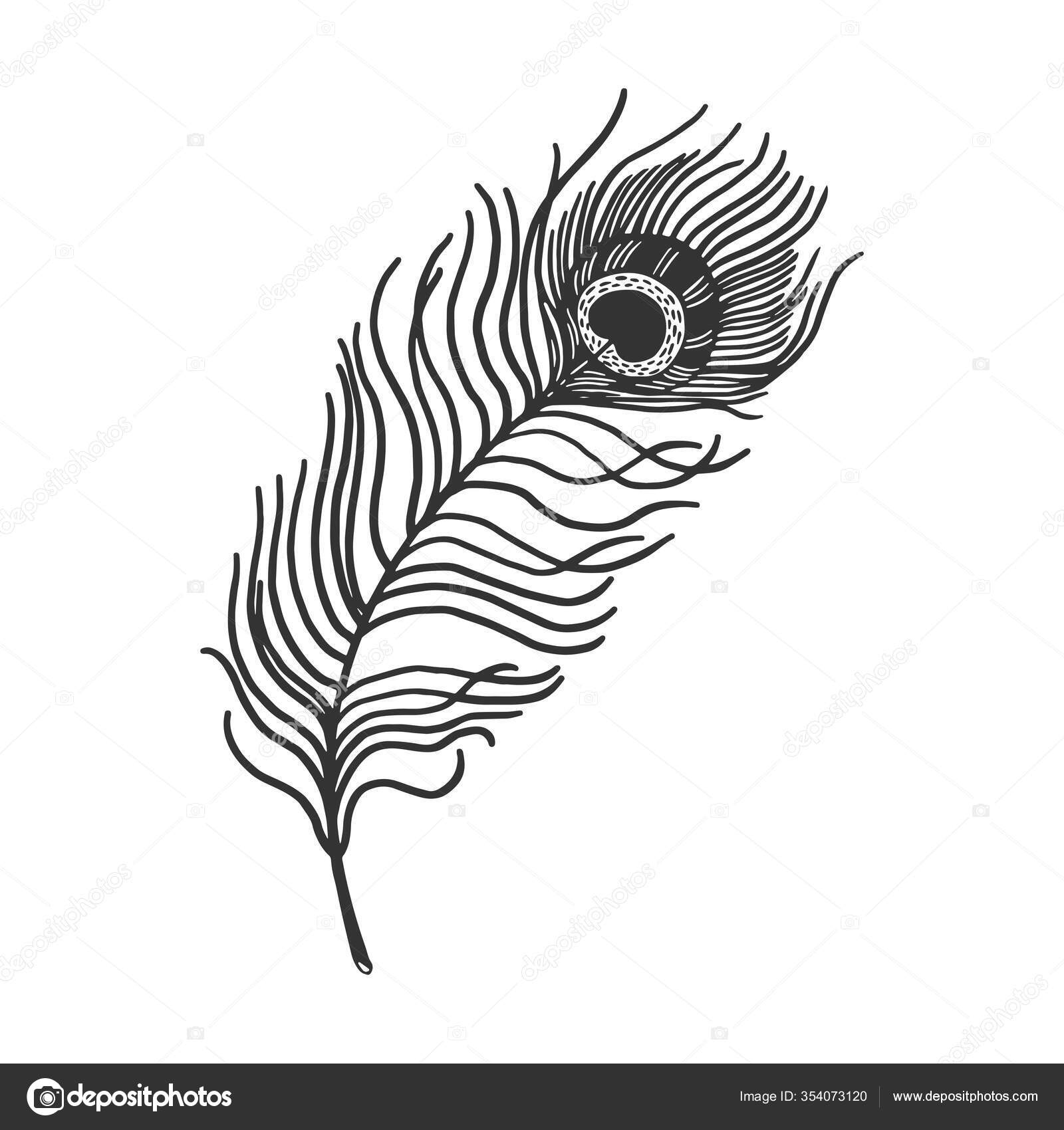 Free Vector  Peacock feather design black doodle print