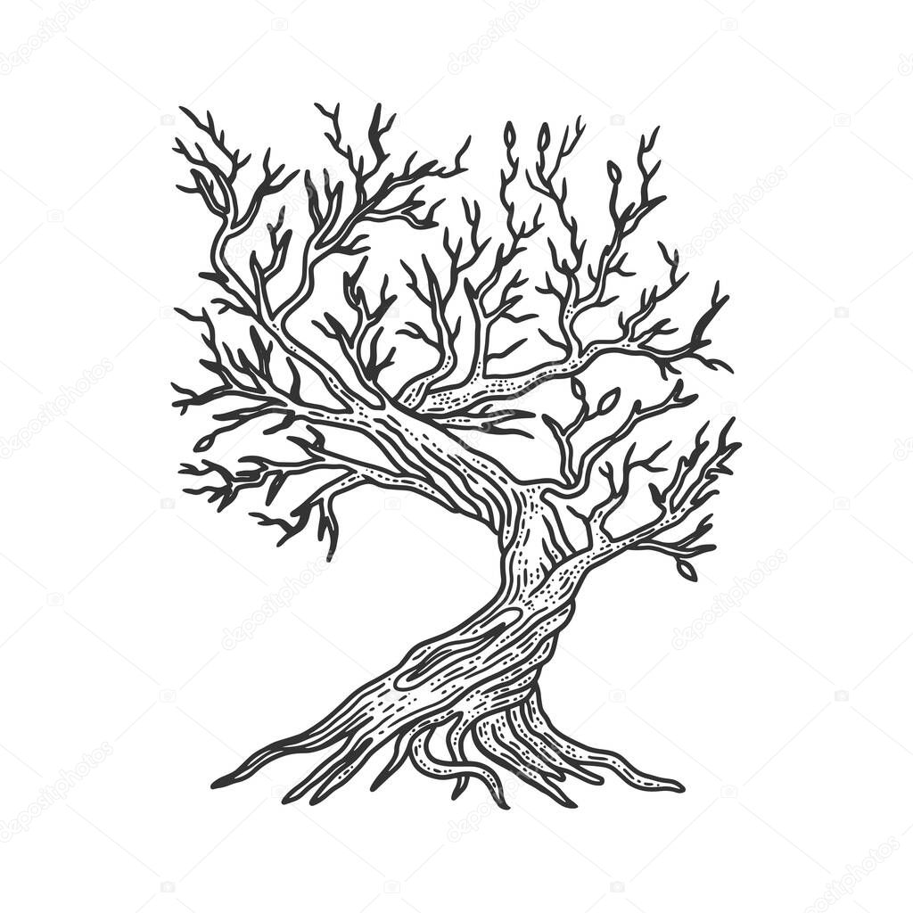 tree without leaves sketch engraving vector illustration. T-shirt apparel print design. Scratch board imitation. Black and white hand drawn image.