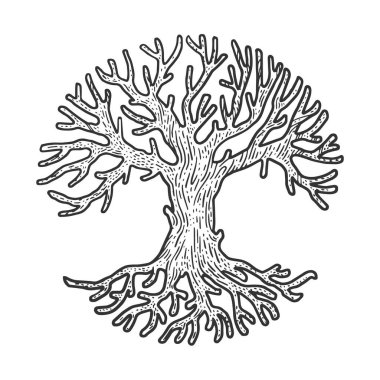 Yuvarlak daireli taç ağacı çizimi, kabartma vektör çizimi. Tişört giysisi baskısı tasarımı. Çizik tahtası taklidi. Siyah beyaz el çizimi resim.
