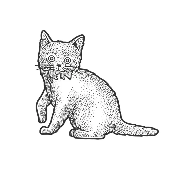 Γατάκι γάτα με ποντίκι στο στόμα σκίτσο χάραξη διάνυσμα εικονογράφηση. Σχεδιασμός εκτύπωσης ρούχων T-shirt. Απομίμηση χαρτονιού. Ασπρόμαυρη ζωγραφισμένη στο χέρι εικόνα. — Διανυσματικό Αρχείο