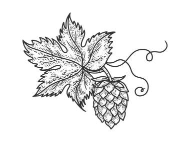 Hop koni bira malzemesi kabartma vektör çizimi. Tişört giysisi baskısı tasarımı. Çizik tahtası taklidi. Siyah beyaz el çizimi resim.