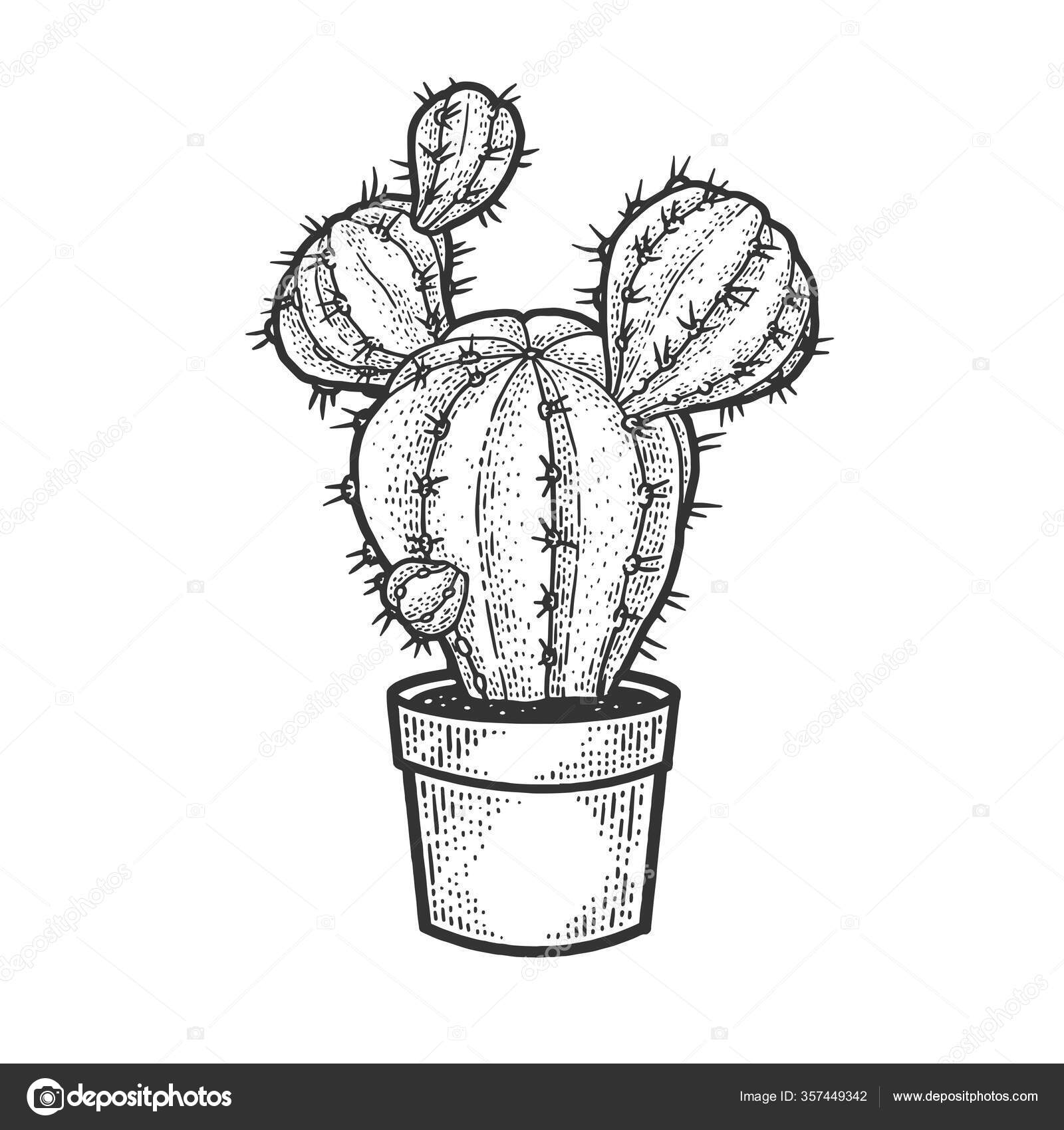 Hand Drawing Flower Pot and Decoration Element - Stock Illustration  [40202111] - PIXTA