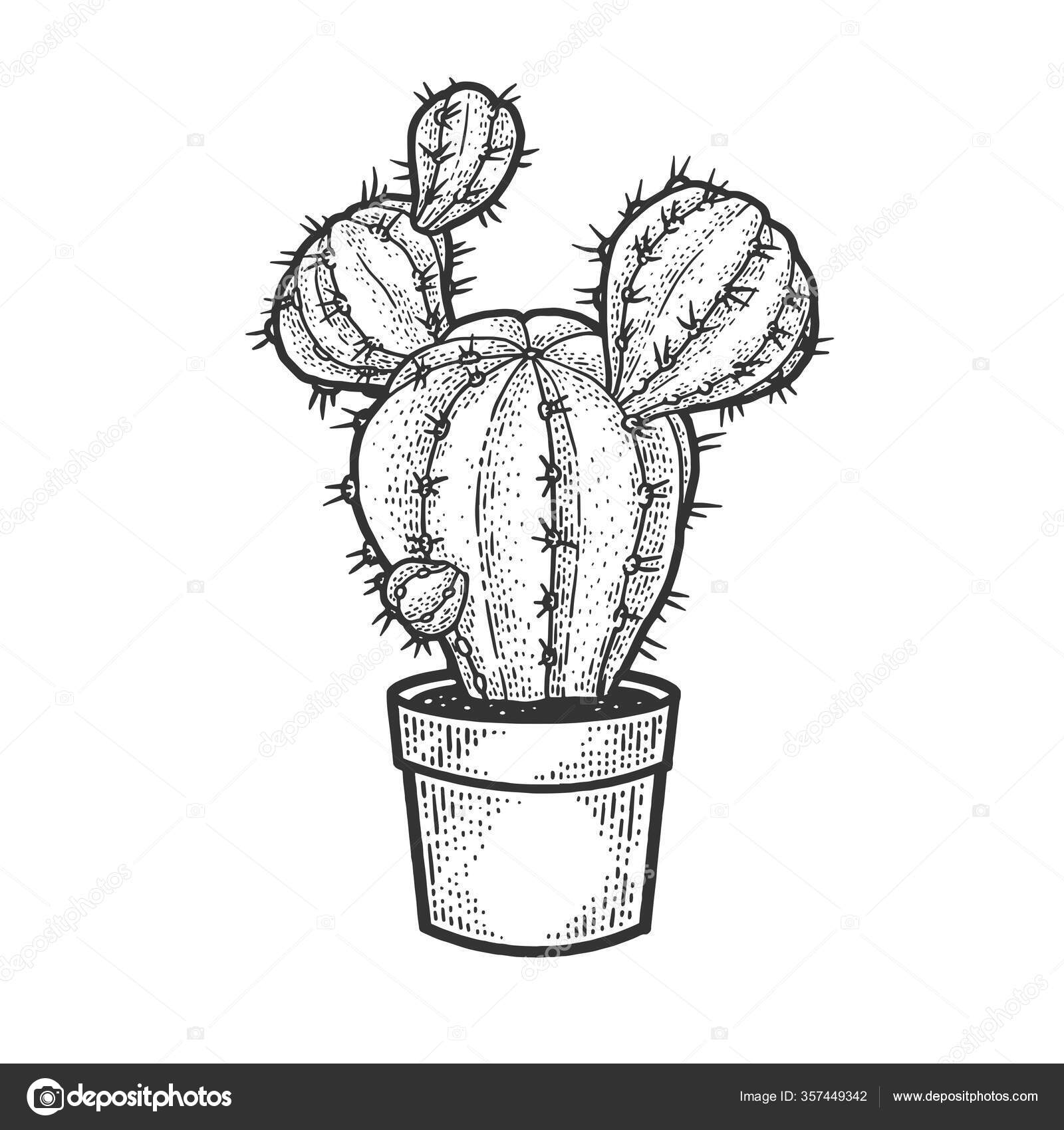 Imagens vetoriais Xilogravura cactus