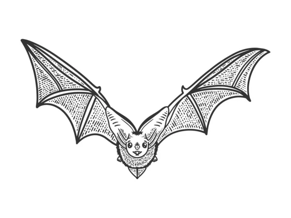 Ιπτάμενη νυχτερίδα σκίτσο χάραξη διάνυσμα εικόνα. Σχεδιασμός εκτύπωσης ρούχων T-shirt. Απομίμηση χαρτονιού. Ασπρόμαυρη ζωγραφισμένη στο χέρι εικόνα. — Διανυσματικό Αρχείο