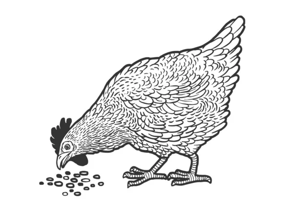 Csirke csipesz gabona vázlat gravírozás vektor illusztráció. Póló mintás ruha. Karcolódeszka utánzat. Fekete-fehér kézzel rajzolt kép. — Stock Vector