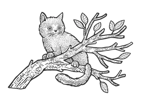 Kätzchen Katze sitzt auf einem Baum Skizze Gravur Vektor Illustration. T-Shirt-Print-Design. Rubbelbrett-Imitat. Handgezeichnetes Schwarz-Weiß-Bild. — Stockvektor