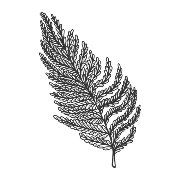 Fern leaf plant sketch engraving vector illustration. T-shirt apparel print design. Scratch board imitation. Black and white hand drawn image. Stock Vector