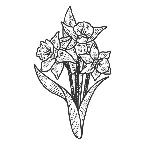 Narciso flor esboço gravura vetor ilustração. T-shirt design de impressão de vestuário. Imitação de raspadinha. Imagem desenhada à mão preto e branco . —  Vetores de Stock