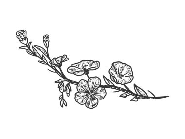 Keten çiçek çizimi, kabartma vektör çizimi. Tişört giysisi baskısı tasarımı. Çizik tahtası taklidi. Siyah beyaz el çizimi resim.