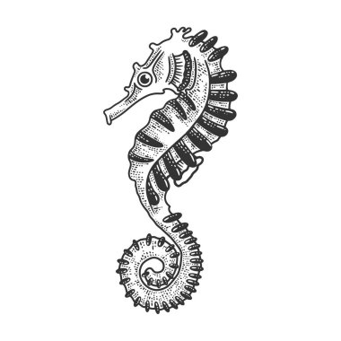 Deniz atı deniz hayvanı çizimi kabartma vektör çizimi. Tişört giysisi baskısı tasarımı. Çizik tahtası taklidi. Siyah beyaz el çizimi resim.