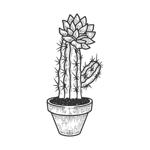 Flor de cactus floreciente en ilustración de vectores de grabado de bosquejo en maceta. Diseño de estampado de ropa de camiseta. Scratch board imitación. Imagen dibujada a mano en blanco y negro . — Vector de stock