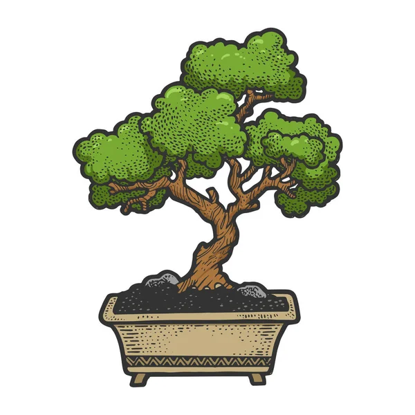 Bonsai japonés verde árbol croquis vector ilustración. Scratch board estilo imitación. Imagen dibujada a mano . — Vector de stock