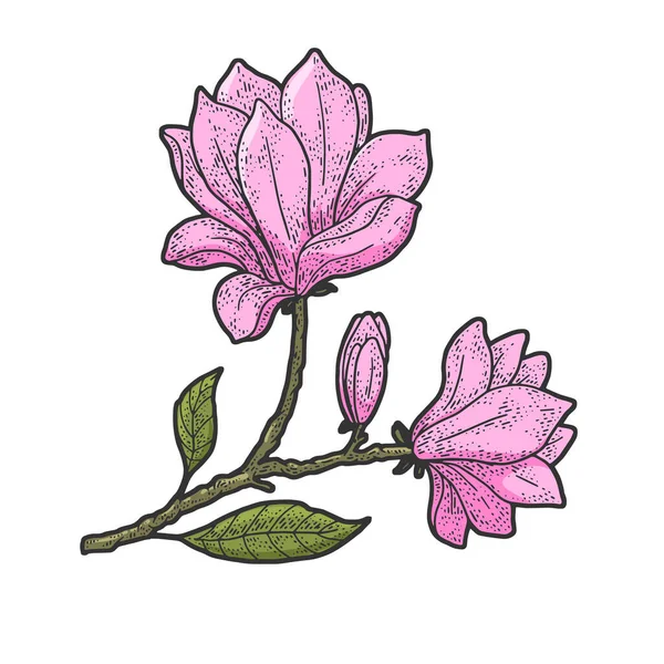 Magnolia árvore flor cor esboço gravura vetor ilustração. T-shirt design de impressão de vestuário. Imitação de raspadinha. Imagem desenhada à mão preto e branco . — Vetor de Stock