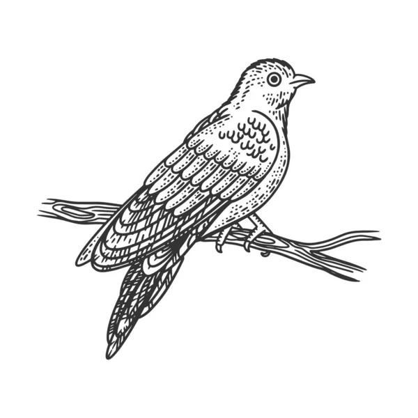 ( 영어 ) Cuckoo bird sketing engraving vector illustration. 티셔츠 의류 인쇄 디자인. 스크래치 보드 모방. 손으로 그린 흑백 그림. — 스톡 벡터