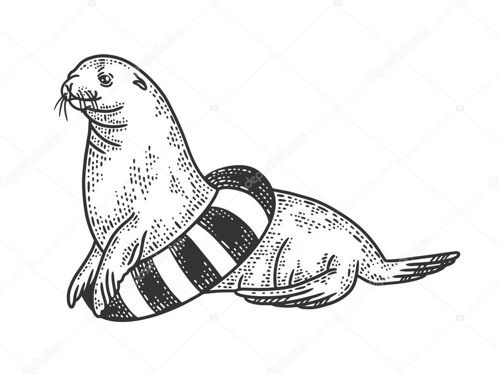 Seal circus animal with life buoy sketch engraving vector illustration. T-shirt apparel print design. Scratch board imitation. Black and white hand drawn image.
