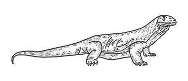 Kertenkele Varanus 'un robot resmini göster. Tişört giysisi baskısı tasarımı. Çizik tahtası taklidi. Siyah beyaz el çizimi resim.