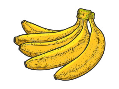 Taze muz meyveli sebze renginde kabartma vektör çizimi. Tişört giysisi baskısı tasarımı. Çizik tahtası taklidi. Siyah beyaz el çizimi resim.