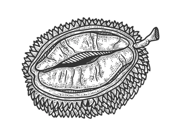 Durian frukt skiss gravyr vektor illustration. T-shirt kläder tryck design. Skrapbrädesimitation. Svart och vit handritad bild. — Stock vektor