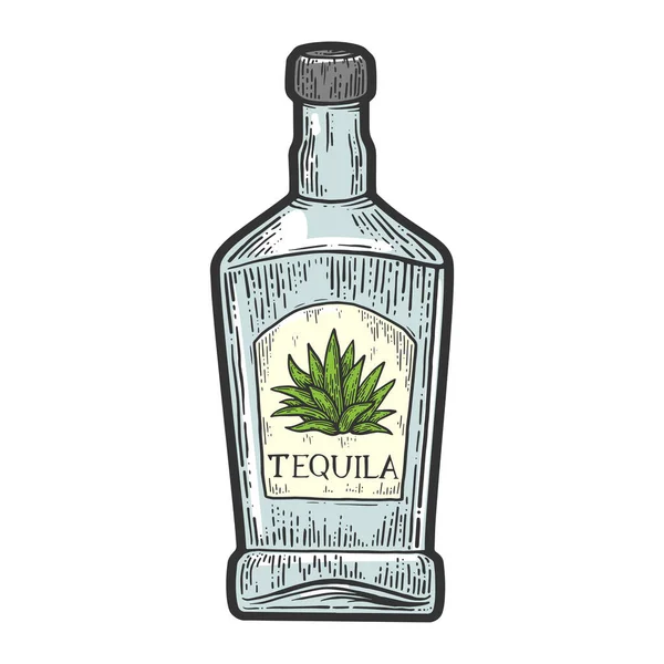 Tequila Flasche mexikanischer Alkohol Farbskizze Gravur Vektor Illustration. T-Shirt-Print-Design. Rubbelbrett-Imitat. Handgezeichnetes Schwarz-Weiß-Bild. — Stockvektor