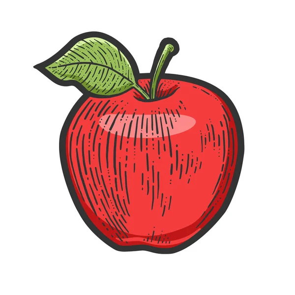 Apple frukt färg skiss gravyr vektor illustration. T-shirt kläder tryck design. Skrapbrädesimitation. Svart och vit handritad bild. — Stock vektor