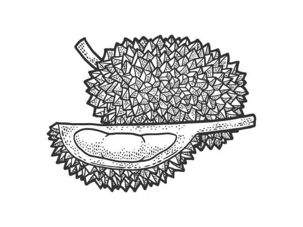 Dur croquis de fruits gravure vectorielle illustration. T-shirt imprimé design. Imitation de carte à gratter. Image dessinée à la main noir et blanc . — Image vectorielle