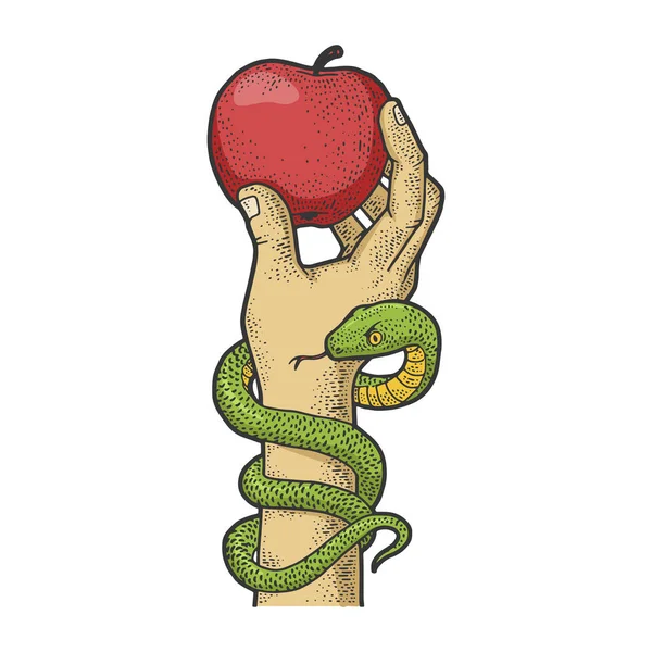 Apple in der Hand mit einer Schlangenfarbenskizze zur Gravurvektorillustration. T-Shirt-Print-Design. Rubbelbrett-Imitat. Handgezeichnetes Schwarz-Weiß-Bild. — Stockvektor