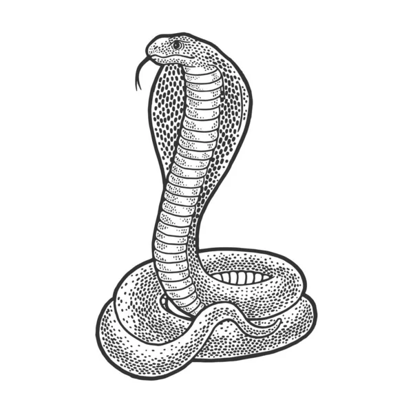 Cobra cobra animal esboço gravura vetor ilustração. T-shirt design de impressão de vestuário. Imitação de raspadinha. Imagem desenhada à mão preto e branco . — Vetor de Stock