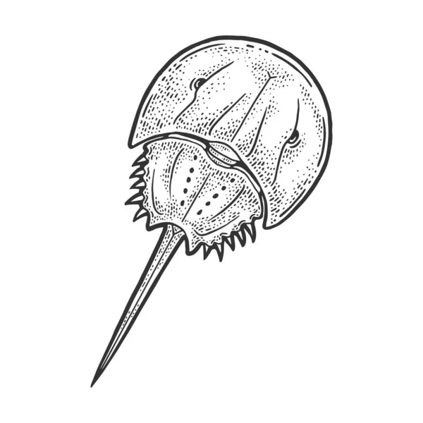ᐈ Horseshoe crab stock pictures, Royalty Free engraved horseshoe set illustrations download on