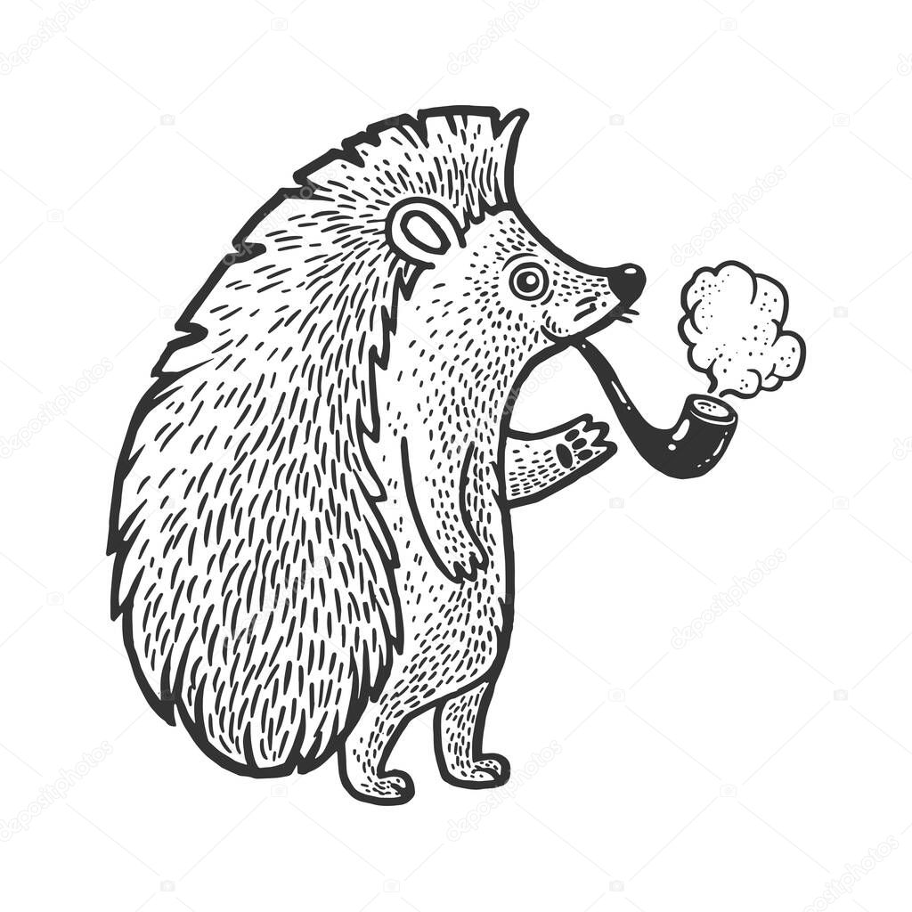 hedgehog with smoking pipe sketch engraving vector illustration. T-shirt apparel print design. Scratch board imitation. Black and white hand drawn image.