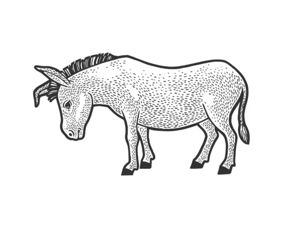 Triste cansado burro esboço gravura vetor ilustração. T-shirt design de impressão de vestuário. Imitação de raspadinha. Imagem desenhada à mão preto e branco . —  Vetores de Stock