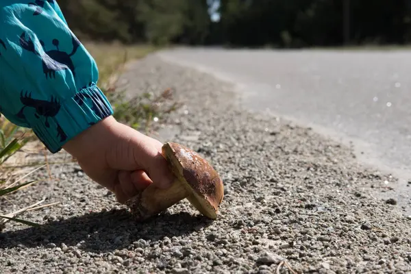 Çocuk Çocuk el yol üzerinde kahverengi bir mantar ile.