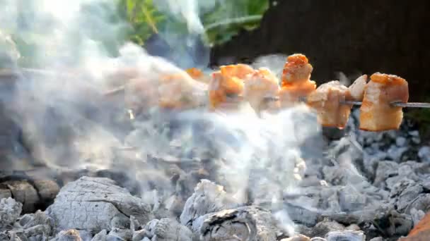 Fry pork fat on fire, outdoors in fresh air — Stock Video