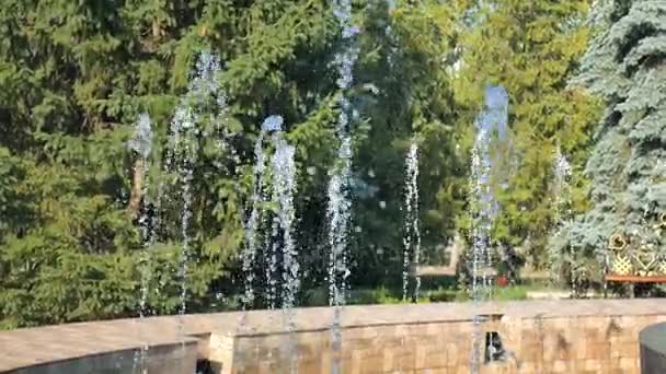 Поток водяного фонтана, на фоне дерева. Фонтан города . — стоковое видео