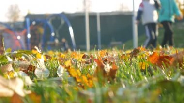 Bahçesi insanlar sonbahar park, Orman ağaçları rahatla. Düşen yapraklar