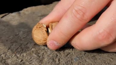 Bir çekiçle çatlama ceviz eller. Çekiç ile bir ceviz kırma.