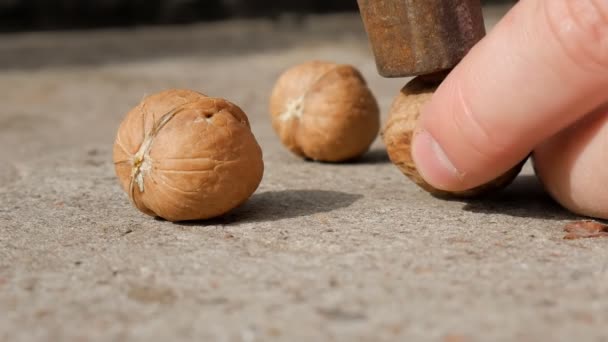 Ořech, trhliny s kladivem, ruce. Krakování ořech s kladivem. — Stock video