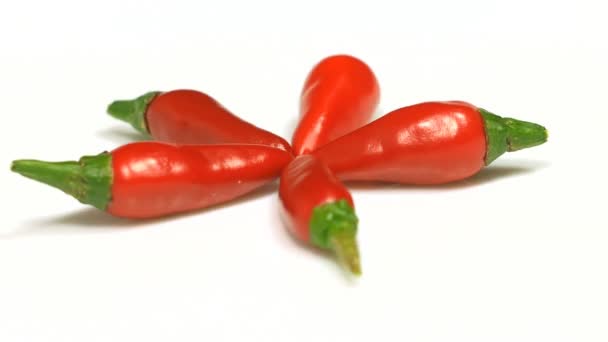 Banda Chili pepper na otáčení. Červené chilli papričky zapne. — Stock video
