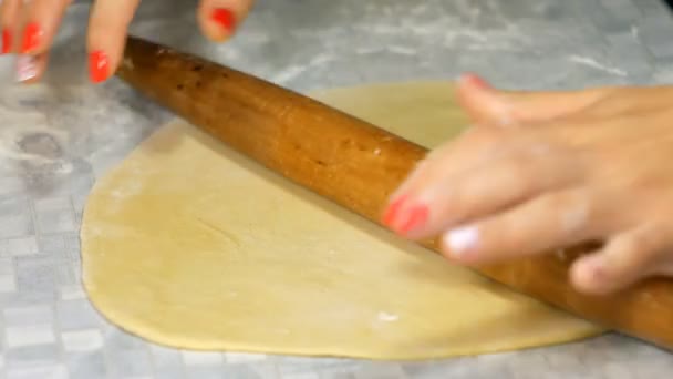 Masa para albóndigas. Chica cocinar albóndigas caseras . — Vídeo de stock